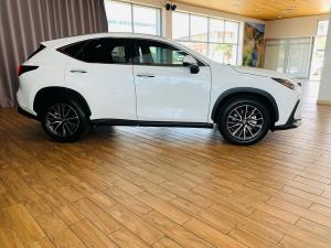 Lexus NX 350h EX - Image 15