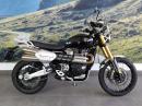 Thumbnail Triumph Scrambler 1200 XE