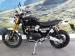 Triumph Scrambler 1200 XE - Thumbnail 5