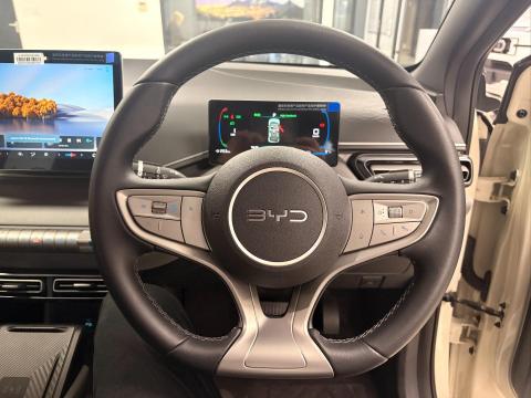 Image BYD Dolphin Surf Dynamic EV