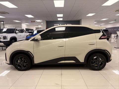 Image BYD Dolphin Surf Dynamic EV