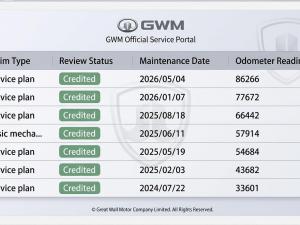 GWM P-SERIES 2.0TD LS/BLACK Edition automatic D/C - Image 8