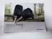 Renault Kwid 1.0 Dynamique auto - Thumbnail 11