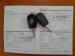 Renault Kwid 1.0 Dynamique / ZEN / Techno 5-Door - Thumbnail 14