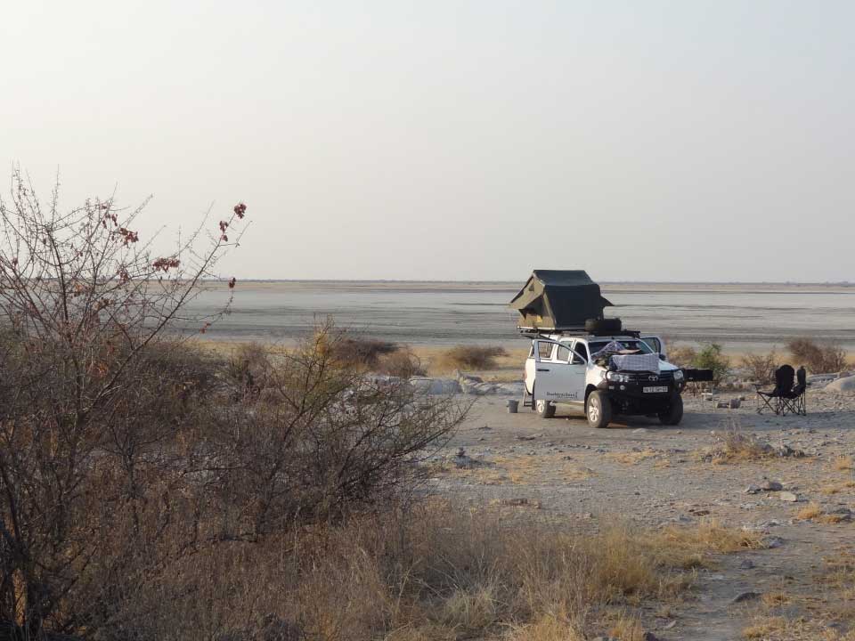 12 Day safari to Botswana