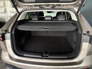 MG HS 1.5T Luxury