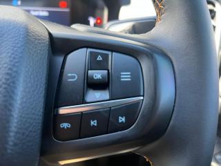 Ford Ranger 2.0 BiTurbo double cab Wildtrak 4x4
