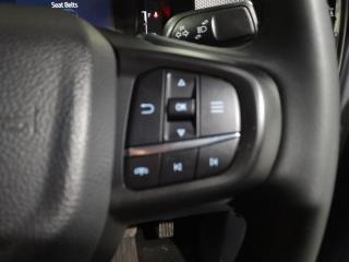 Ford Ranger 2.0 SiT double cab XLT