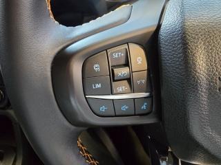 Ford Ranger 3.0TD V6 double cab Wildtrak 4WD
