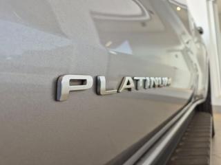 Ford Everest 3.0TD V6 4WD Platinum