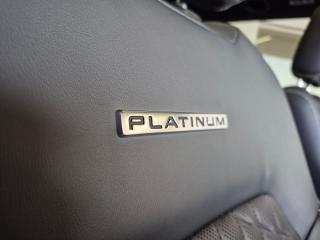 Ford Everest 3.0TD V6 4WD Platinum