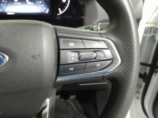 Ford Territory 1.8T Trend