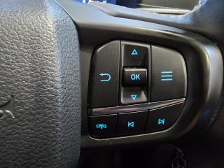 Ford Ranger 3.0TD V6 double cab Platinum 4WD