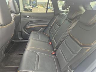 Ford Territory 1.8T Dark Edition