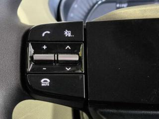 Tata Tiago 1.2 XT manual