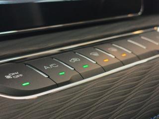 Haval Jolion Pro 1.5T Premium