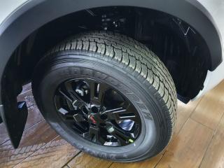 Nissan Navara 2.5DDTi double cab Pro-2X