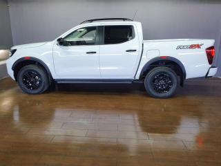 Nissan Navara 2.5DDTi double cab Pro-2X