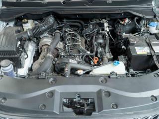 GWM P300 2.0T single cab SX