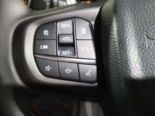 Ford Ranger 2.0 BiTurbo double cab Wildtrak X 4WD