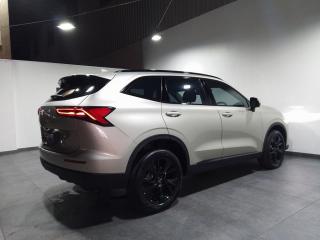 Haval H6 2.0T Super Luxury