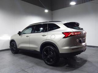 Haval H6 2.0T Super Luxury
