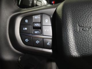 Ford Ranger 3.0TD V6 double cab Tremor 4WD