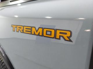 Ford Ranger 3.0TD V6 double cab Tremor 4WD