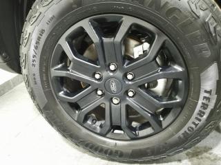 Ford Everest 2.0 SiT Active