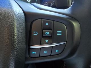 Ford Everest 3.0TD V6 4WD Platinum