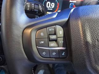 Ford Everest 3.0TD V6 4WD Platinum