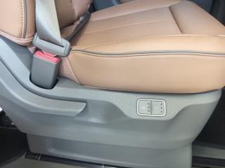 Hyundai Staria 2.2D Luxury