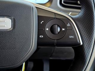 BAIC B30 1.5T HEV Elite Adventure