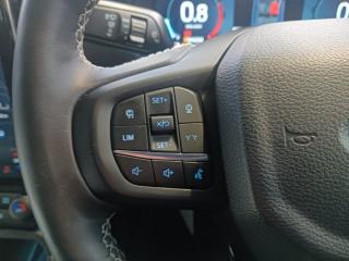 Ford Ranger 3.0TD V6 double cab Platinum 4WD