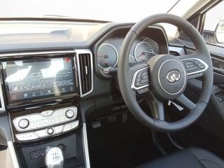 GWM P300 2.0T single cab SX