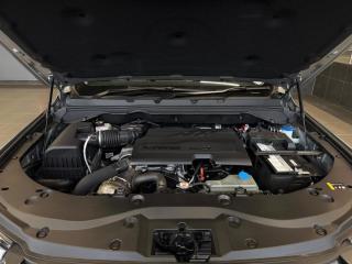 GWM P300 2.4T double cab LS