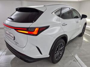 Lexus NX 350h EX - Image 6