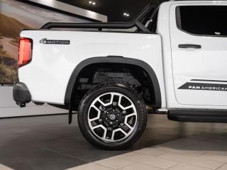 Volkswagen Amarok 3.0TDI V6 double cab PanAmericana 4Motion