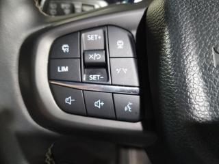 Ford Everest 3.0TD V6 4WD Platinum