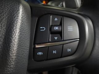 Ford Everest 3.0TD V6 4WD Platinum