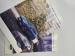 Ford Puma 1.0T Titanium - Thumbnail 30