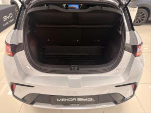 BYD Dolphin Extended Range EV - Image 15