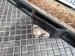 Toyota Land Cruiser 79 4.5D-4D LX V8 single cab - Thumbnail 11