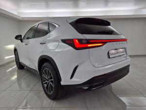 Lexus NX 350h EX - Image 14