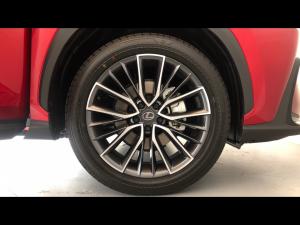 Lexus NX 350h SE - Image 17