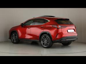 Lexus NX 350h SE - Image 21